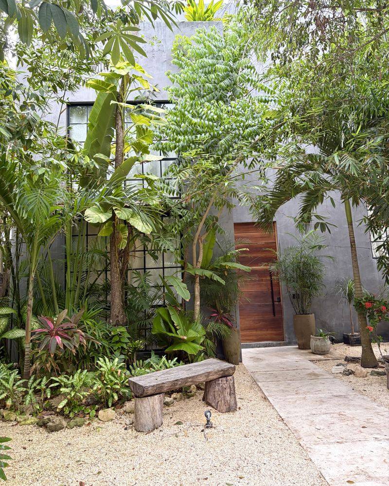 A garden path leading through lush plants to a wooden door