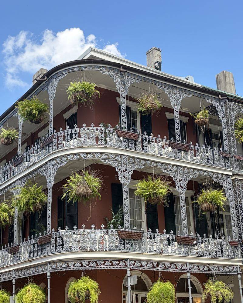 Wrought-iron balconies hung with ferns on a red brick building